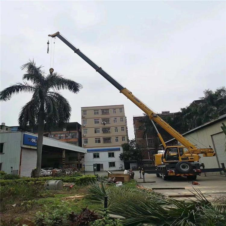 封开树木移栽装卸